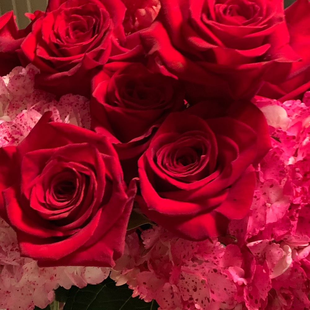 Meet your Posher, Elbie Lindsay!